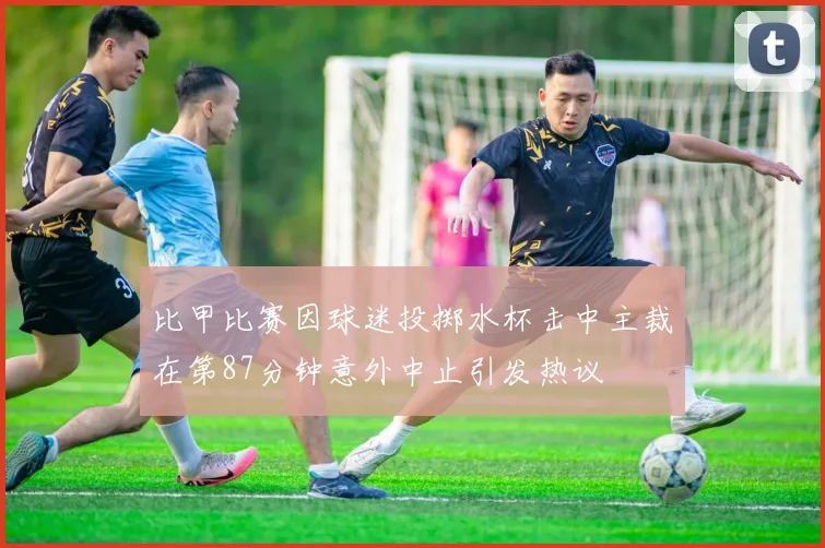 比甲比赛因球迷投掷水杯击中主裁在第87分钟意外中止引发热议