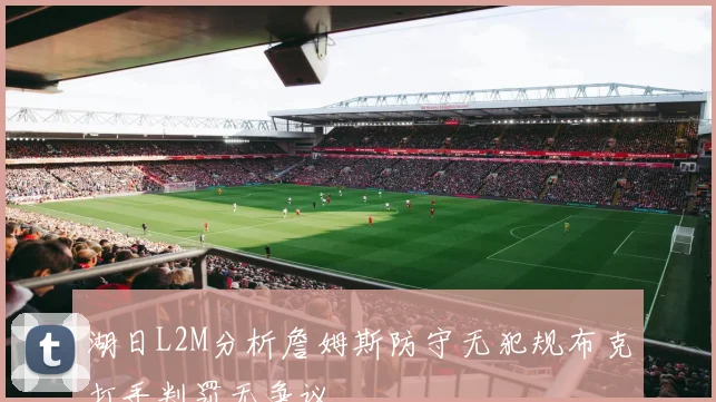 湖日L2M分析詹姆斯防守无犯规布克打手判罚无争议