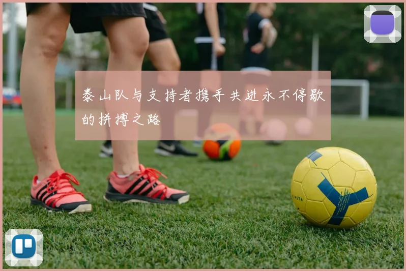 泰山队与支持者携手共进永不停歇的拼搏之路