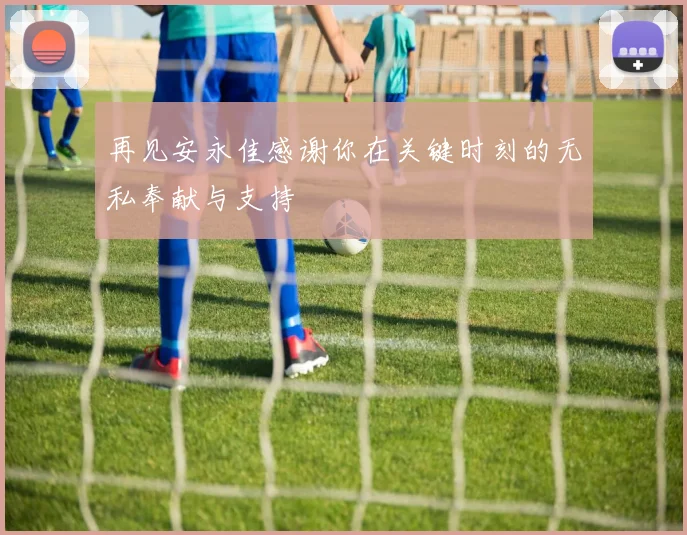 再见安永佳感谢你在关键时刻的无私奉献与支持